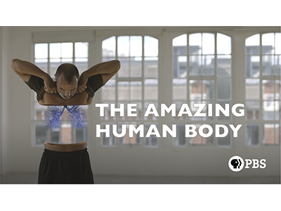 Amazing Human Body