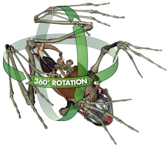 Cyber-Science Cyber-Science