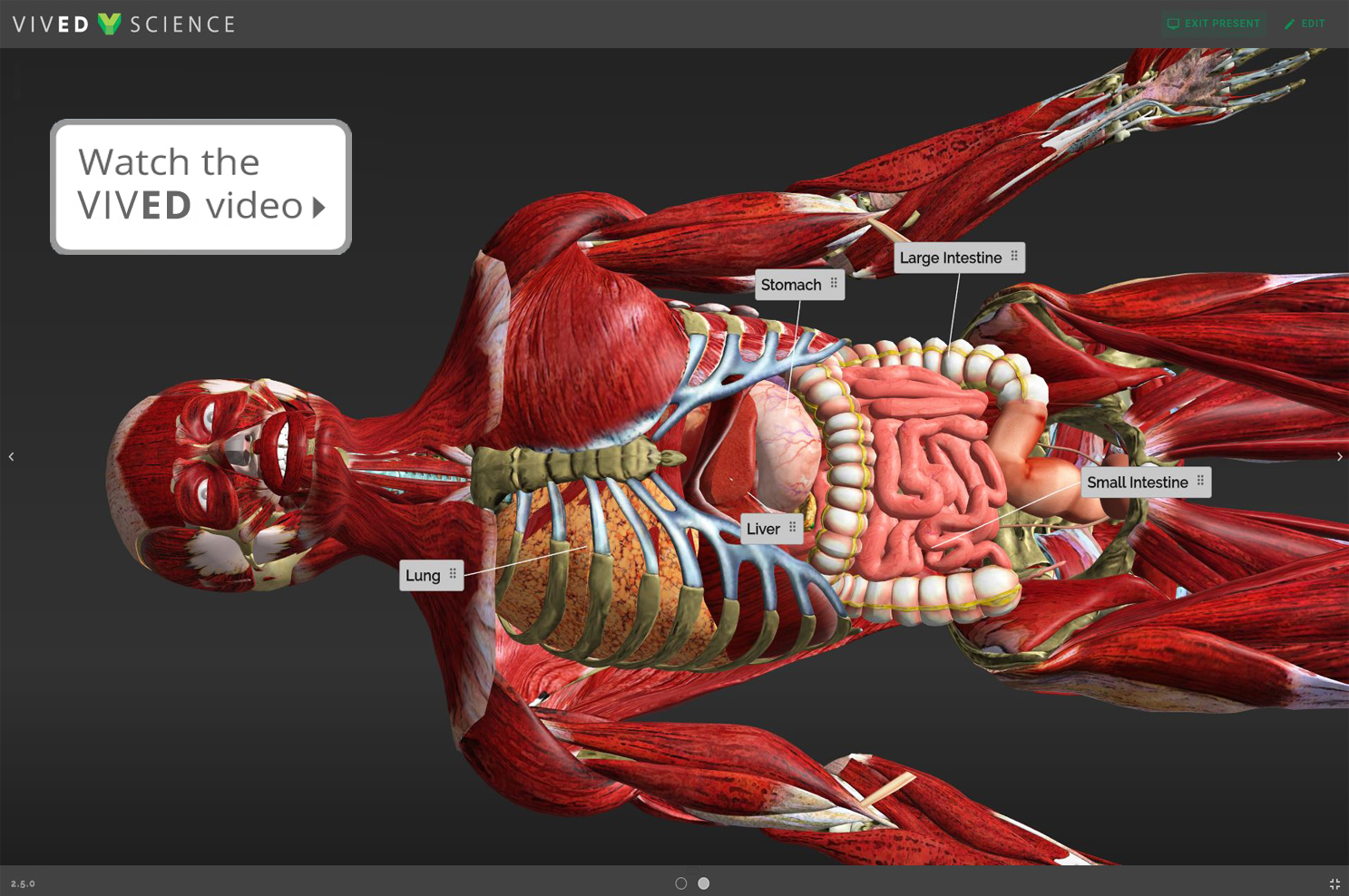 3D human body model