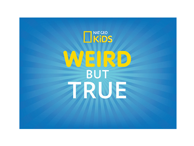 Weird But True