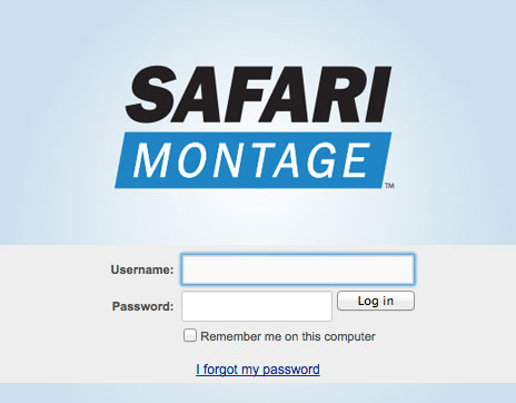 cms safari montage login